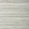 Wild Silk, Charcoal on Metallic Silver