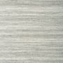 Wild Silk, Charcoal on Metallic Silver