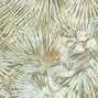 Palmier, Beige