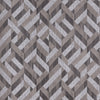 Bristlecone, Grey
