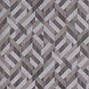 Bristlecone, Grey