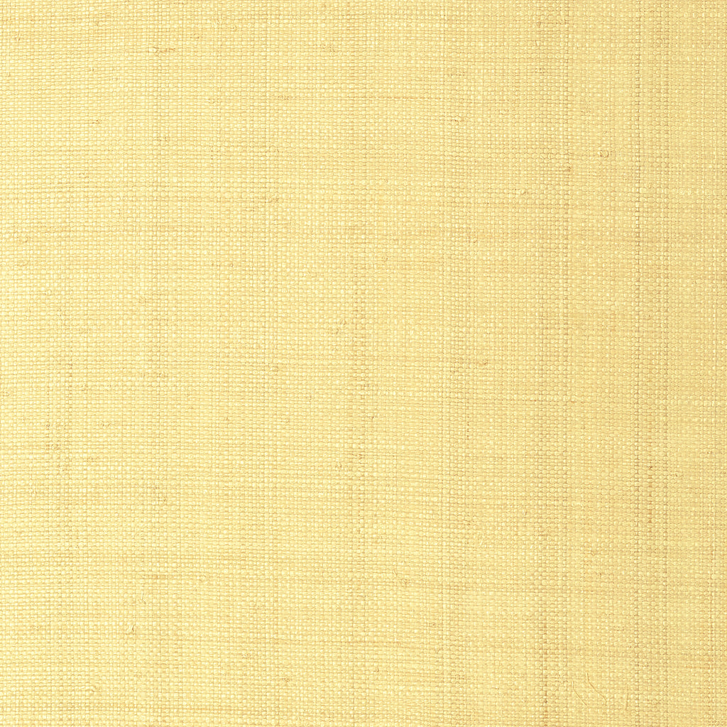 Pearl Bay Straw | Thibaut