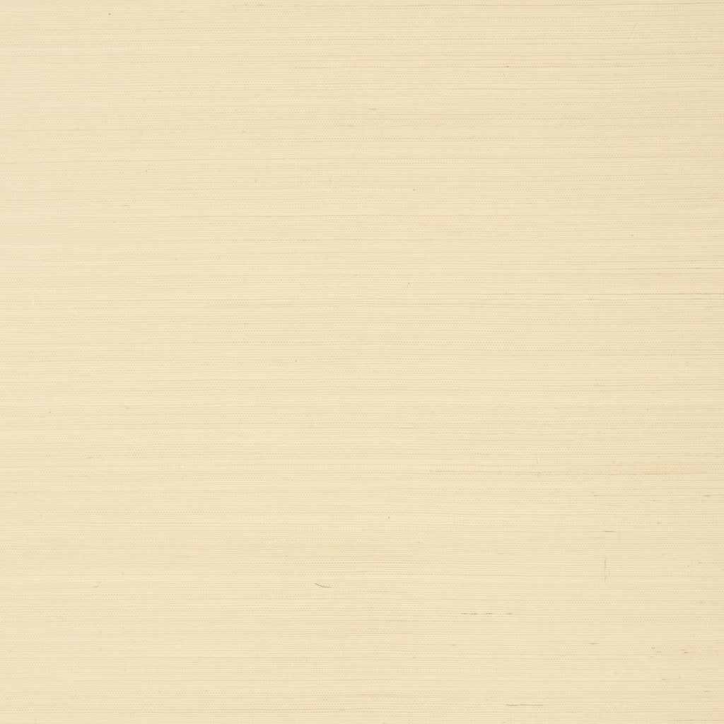 Shang Extra Fine Sisal Beige - Beige Wallcovering | Thibaut