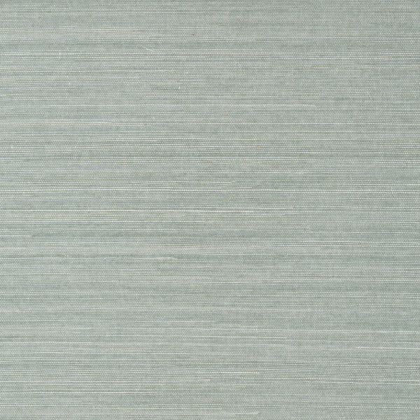 Shang Extra Fine Sisal Mineral - Mineral Wallcovering | Thibaut