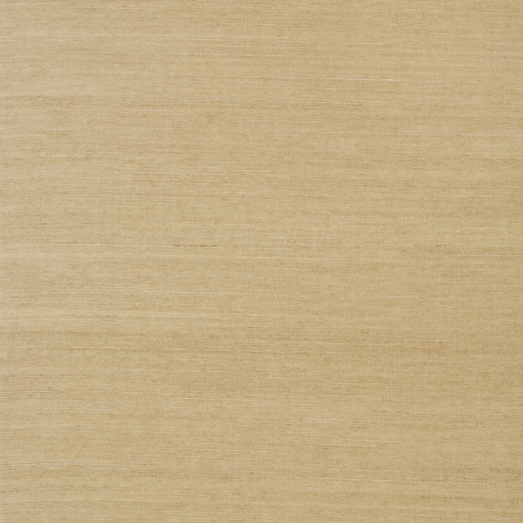 Shang Extra Fine Sisal Doe - Doe Wallcovering | Thibaut
