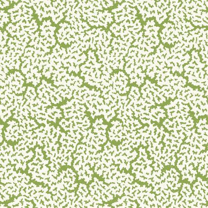 Maldives Green - Green Wallcovering | Thibaut