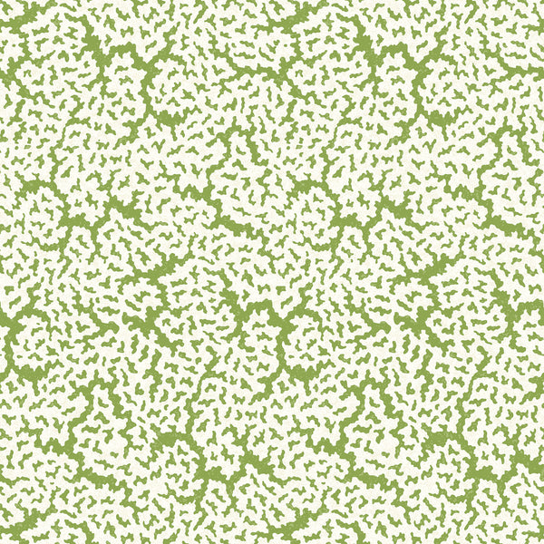 Maldives Green - Green Wallcovering | Thibaut