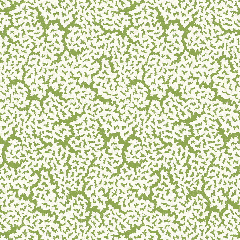 Maldives Green - Green Wallcovering | Thibaut