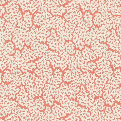 Maldives Coral - Coral Wallcovering | Thibaut