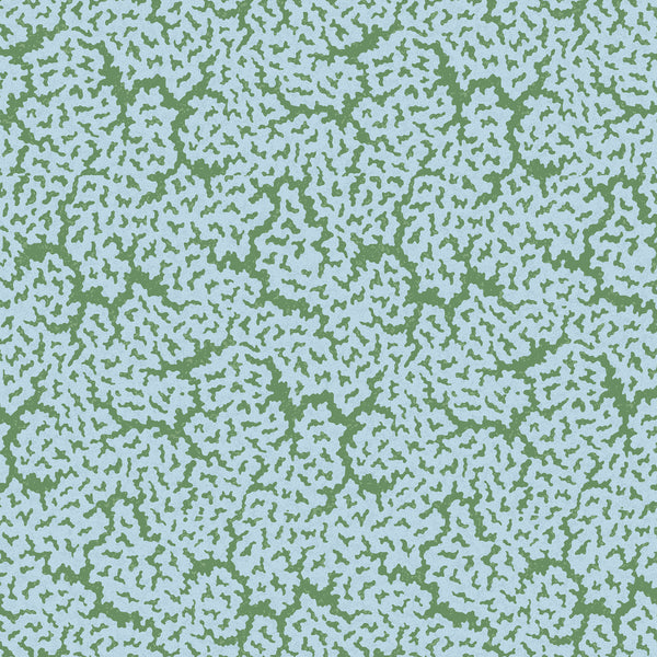 Maldives Blue and Green - Green Wallcovering | Thibaut
