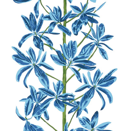 Mangrove Tree Blue and White - White Wallcovering | Thibaut