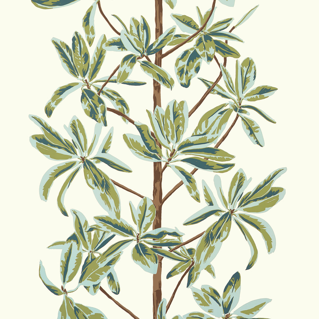 Mangrove Tree Sage - Sage Wallcovering | Thibaut