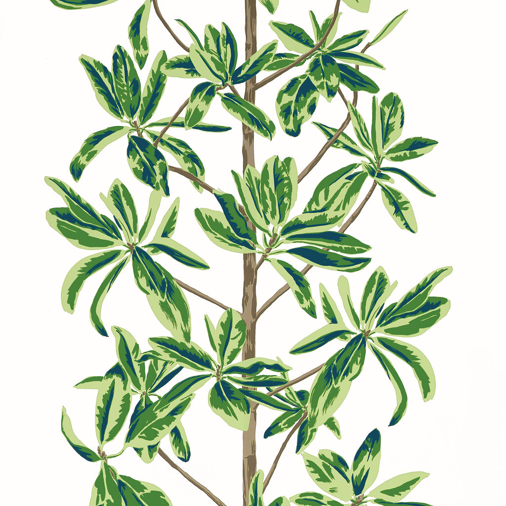 Mangrove Tree Green and White - White Wallcovering | Thibaut
