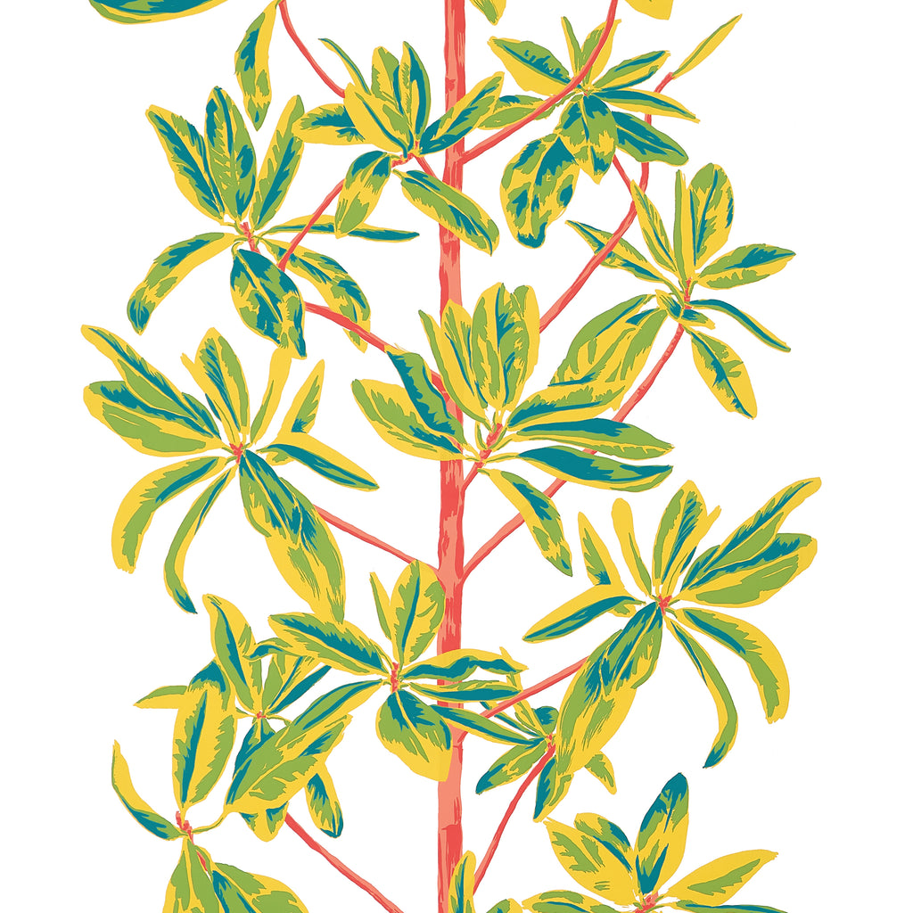 Mangrove Tree Coral - Coral Wallcovering | Thibaut