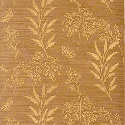 Grasses, Khaki