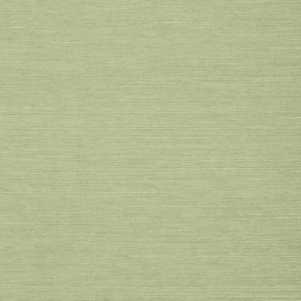 Shang Extra Fine Sisal Willow - Pale Green Wallcovering | Thibaut