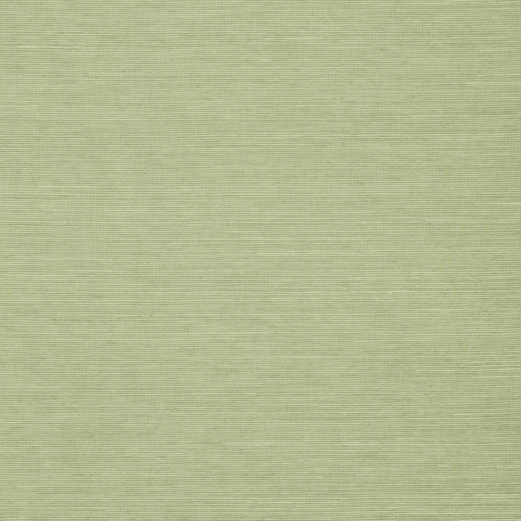 Shang Extra Fine Sisal Willow - Pale Green Wallcovering | Thibaut
