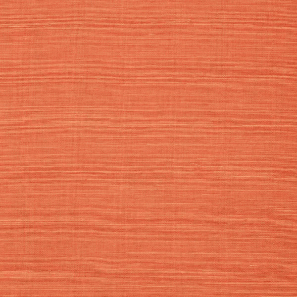 Shang Extra Fine Sisal, Apricot Wallcoverings | Thibaut
