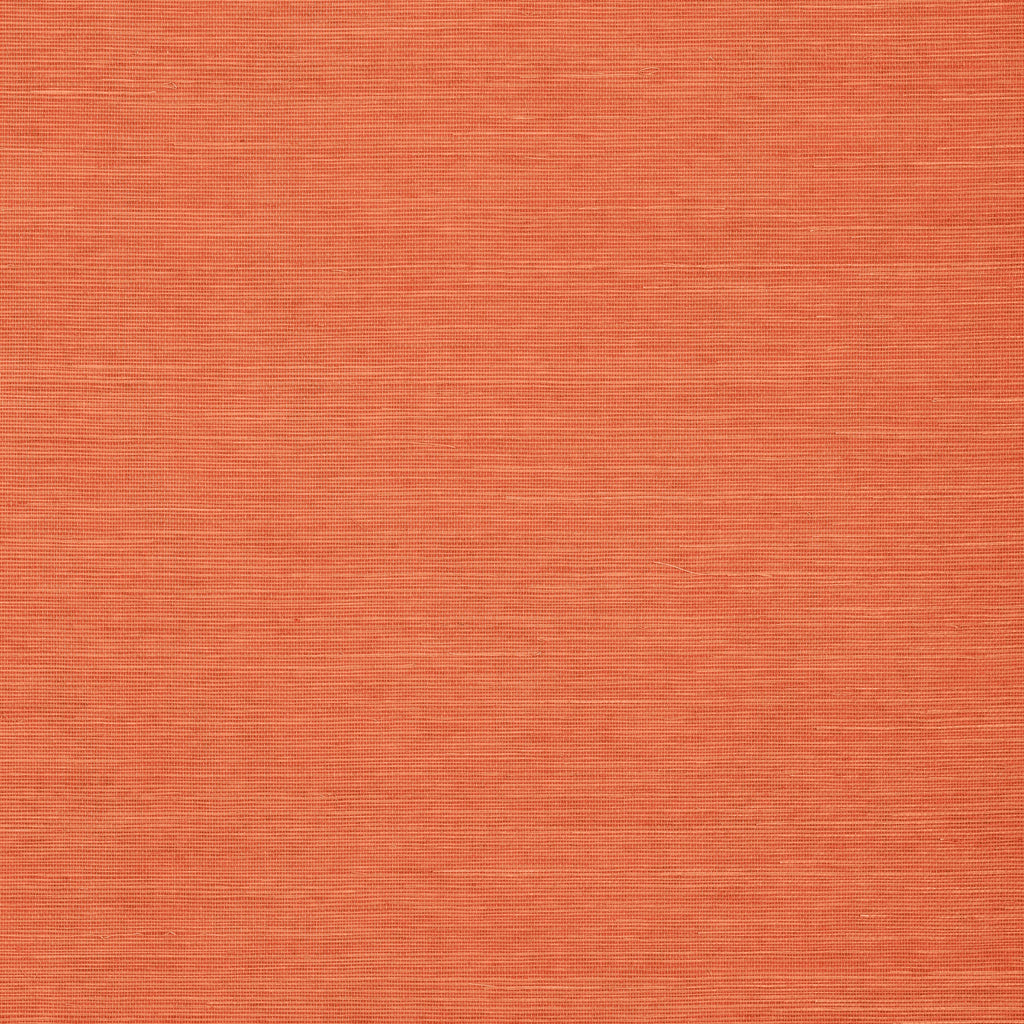 Shang Extra Fine Sisal, Apricot