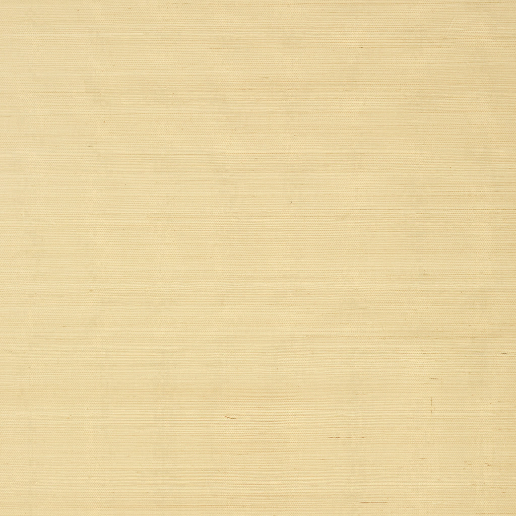 Shang Extra Fine Sisal Vanilla - Vanilla Wallcovering | Thibaut