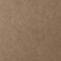 Western Leather, Metallic Bronze