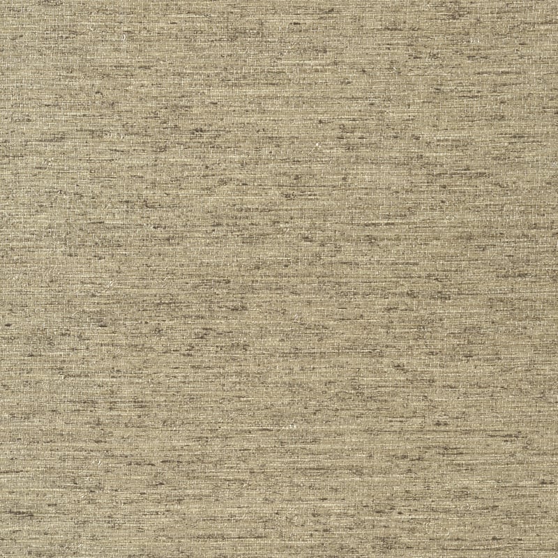 Arrowroot, Mocha