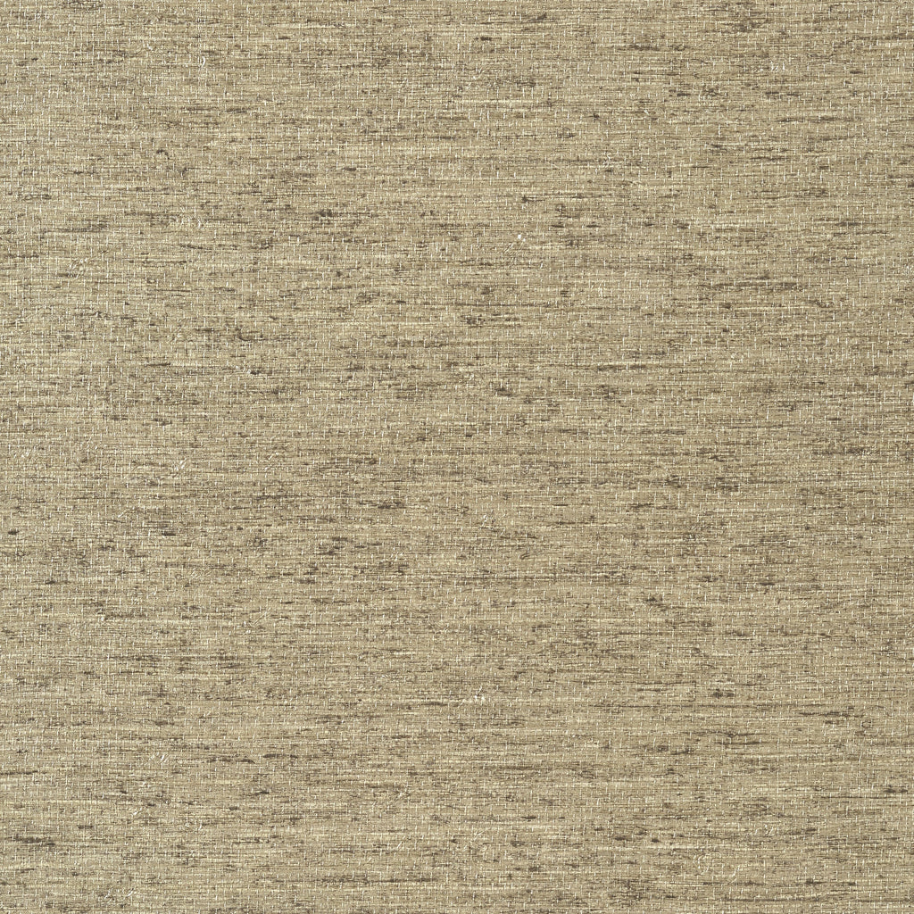 Arrowroot, Mocha