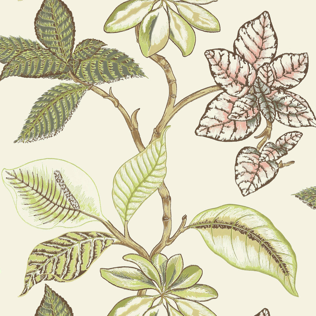 Wallcoverings Cream | Thibaut