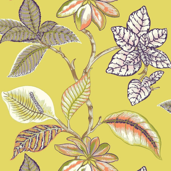 Lucala Citron - Citron Wallcovering | Thibaut
