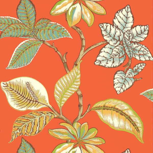 Lucala Coral - Coral Wallcovering | Thibaut