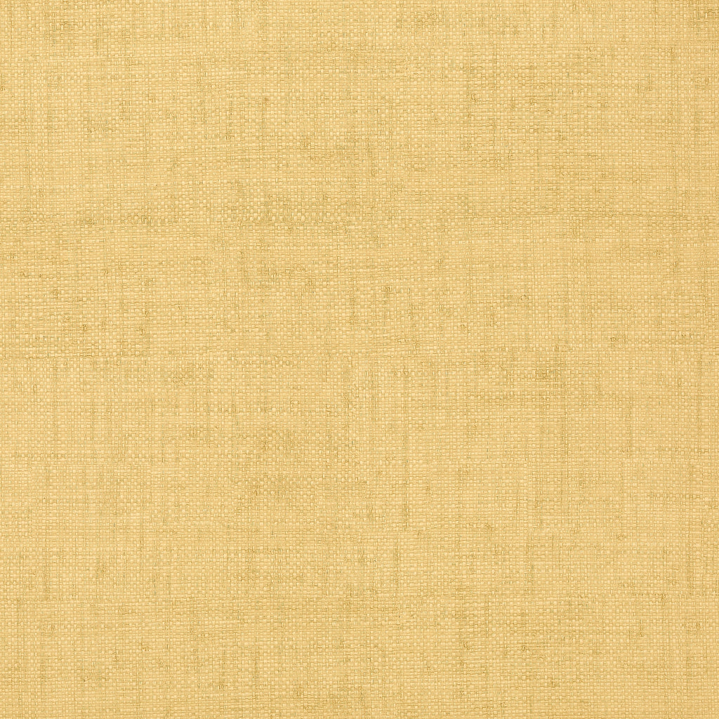 Cabo Raffia Thibaut Cabo Raffia(T6813) - Thibaut Cabo Raffia(T6813) Natural Wallcovering | Thibaut