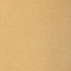 Natural Ostrich, Beige