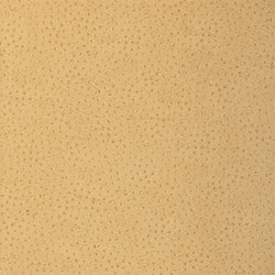 Natural Ostrich, Beige