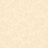 Solar Disc, Cream