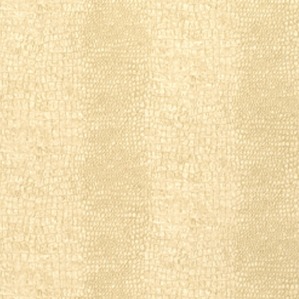 Everglades, Cream