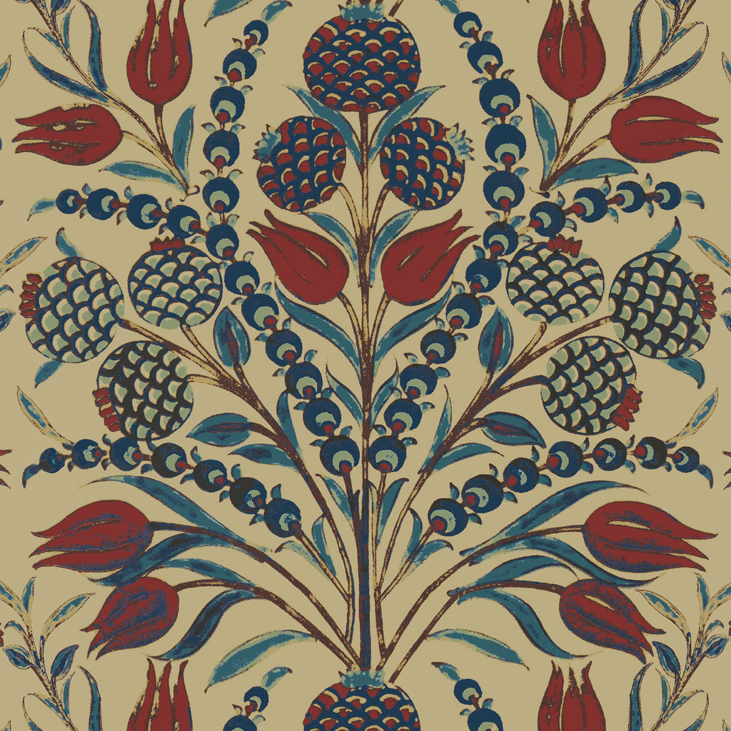 Corneila, Red and Teal