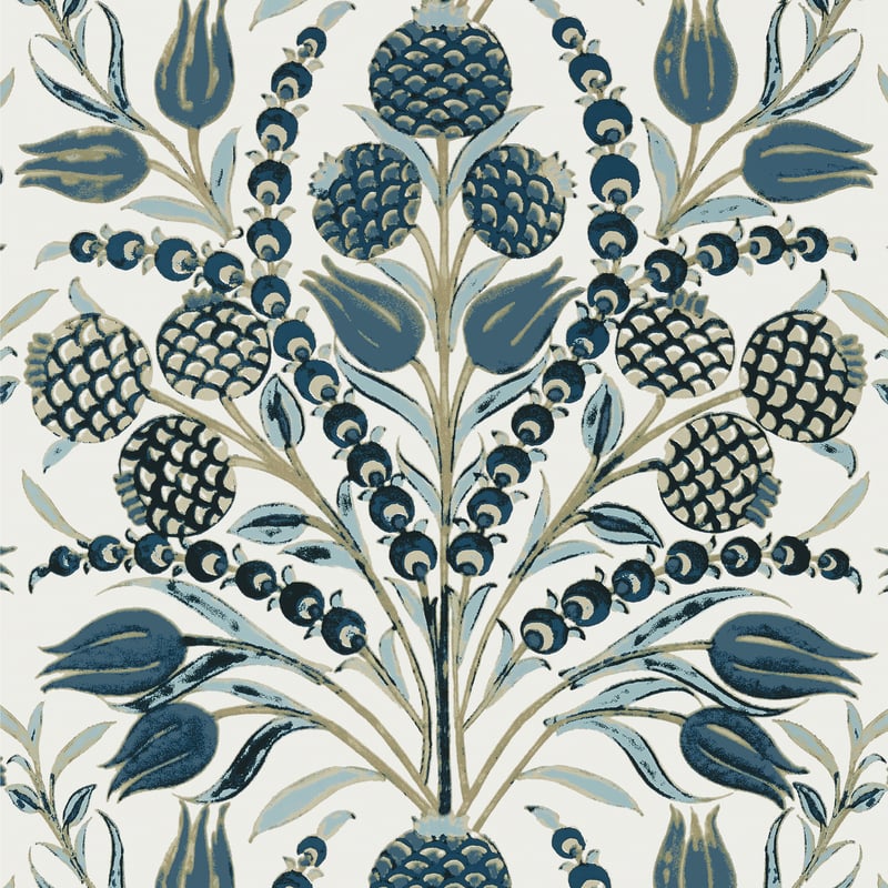 Corneila, Aqua