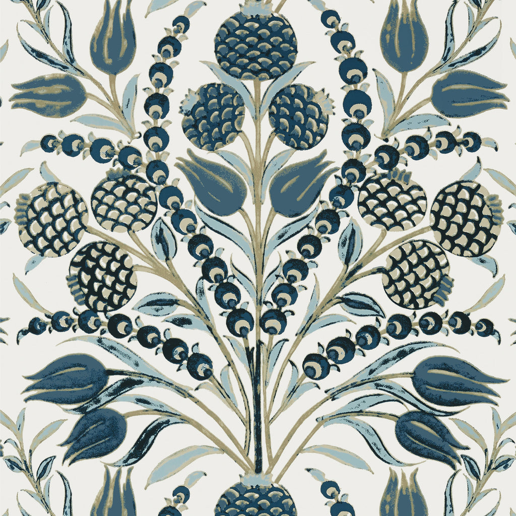 Corneila, Aqua