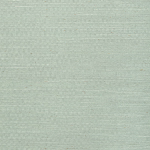 Cabo Raffia - Pale Green Wallcovering | Thibaut