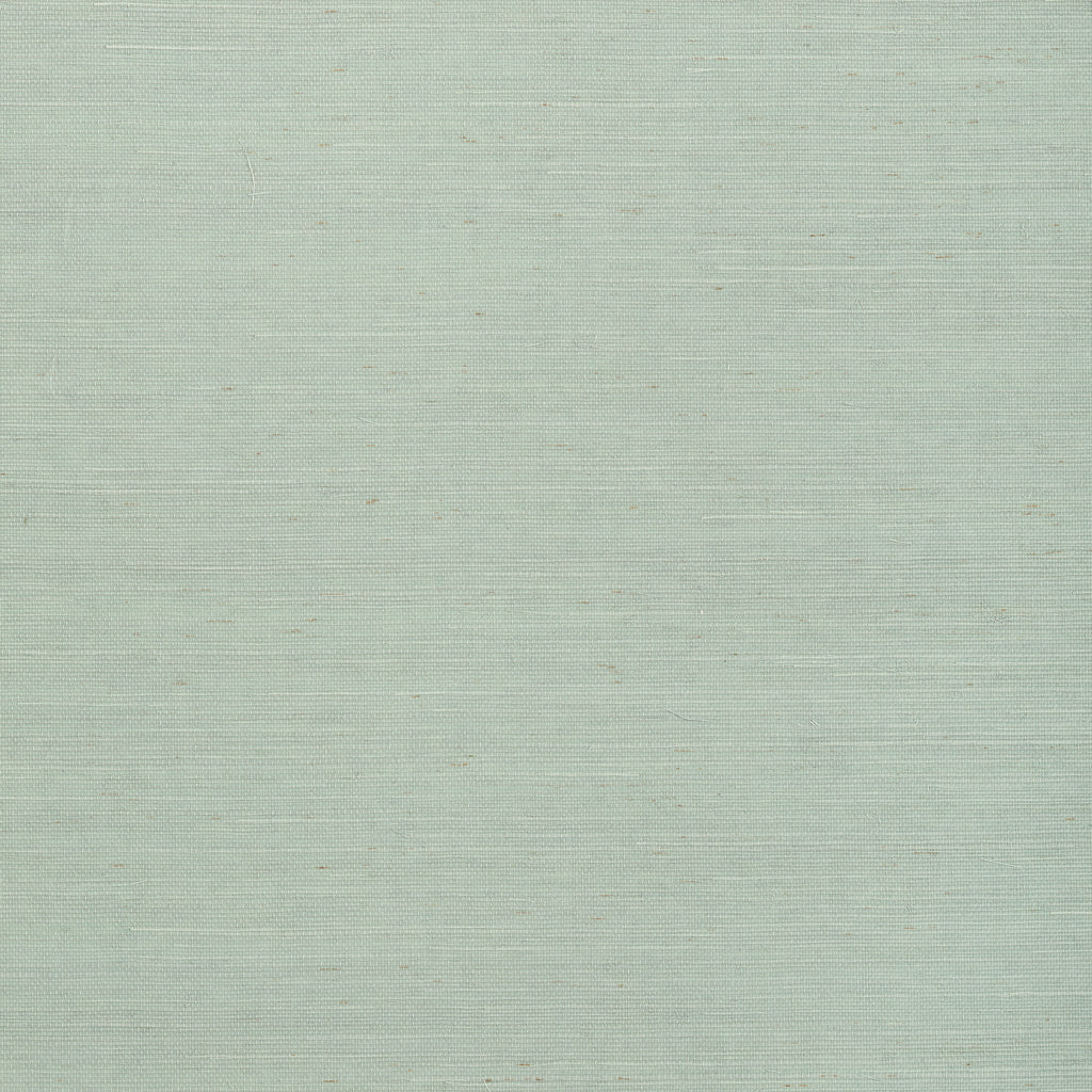 Cabo Raffia Thibaut Cabo Raffia(T72834) - Pale Green Wallcovering | Thibaut