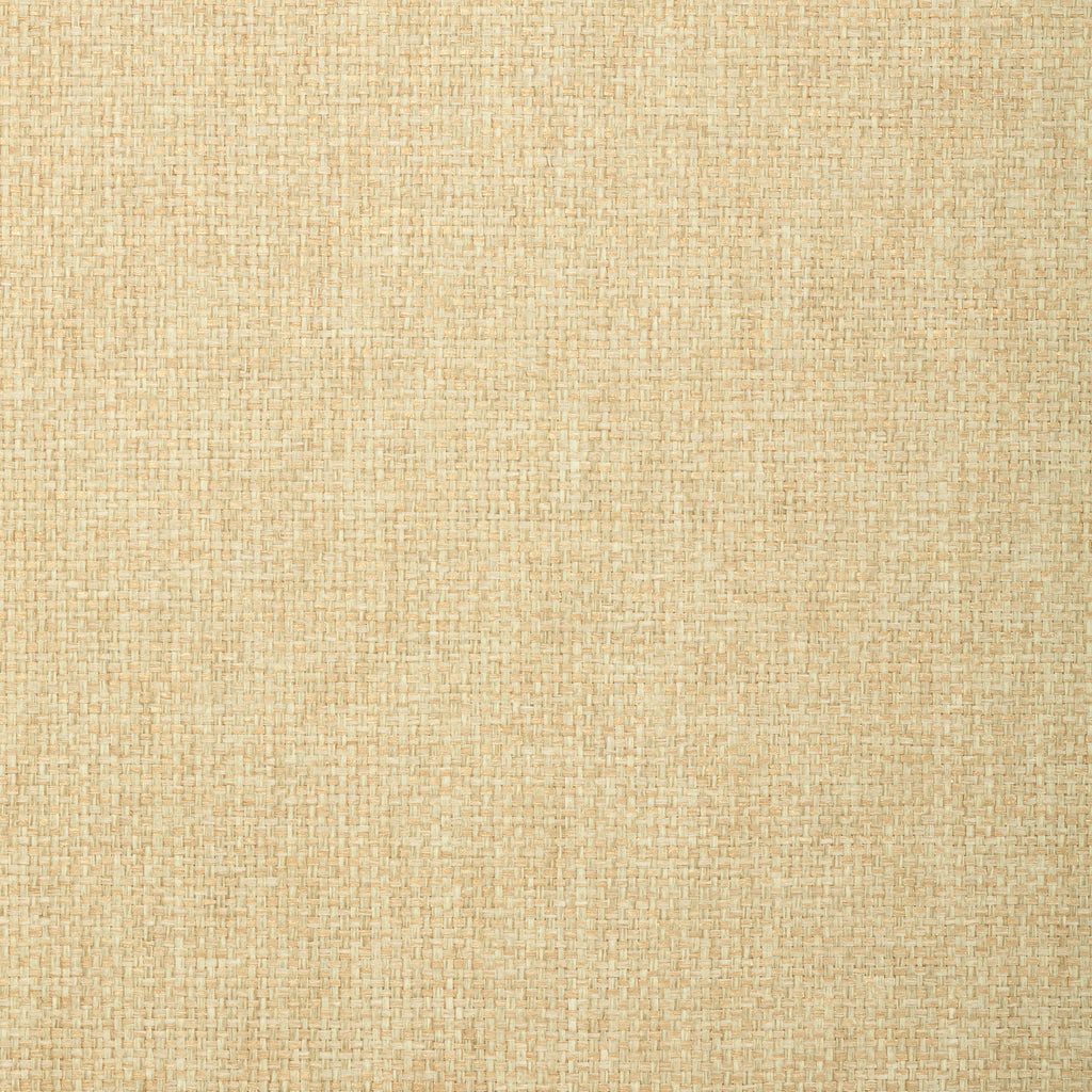Marine Coral Black Fabric | Thibaut