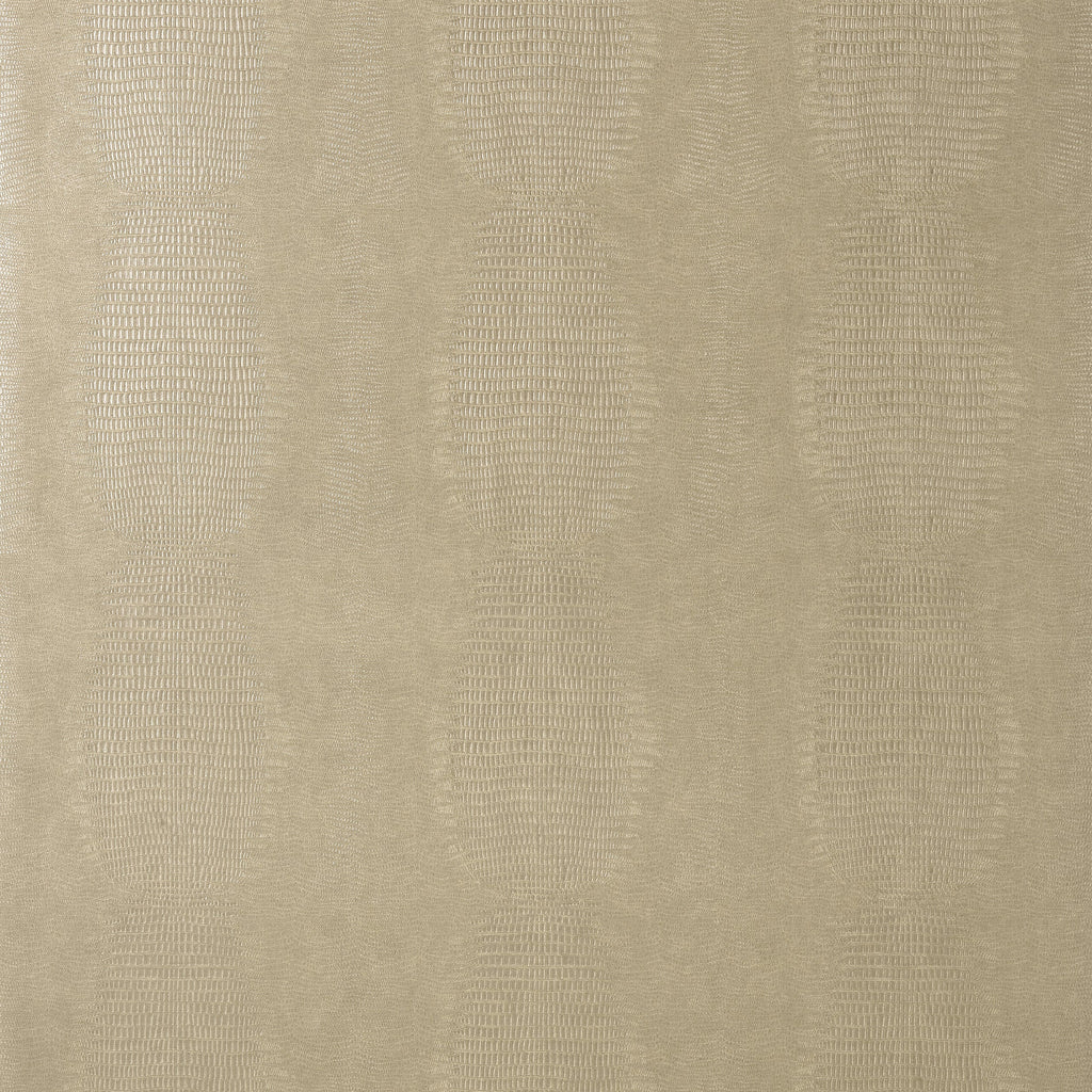 Kissimmee, Taupe