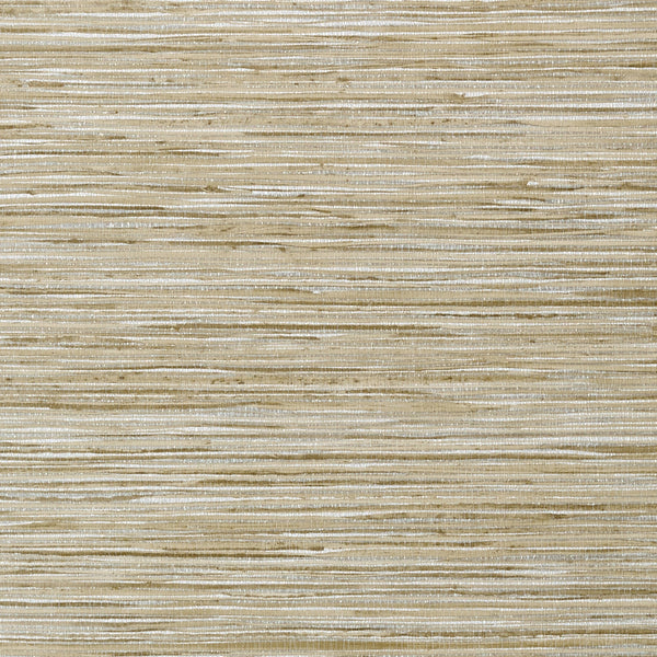 Jindo Grass, Neutral on Metallic Silver Wallcoverings | Thibaut