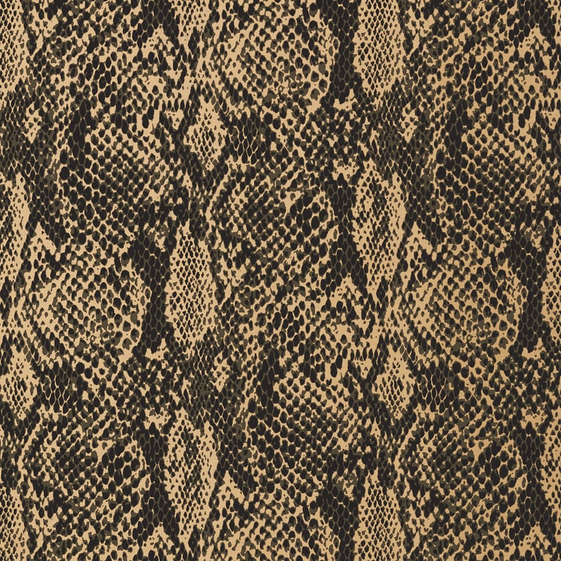 Boa, Black on Metallic Gold