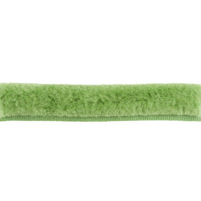 Samples and Purchasing available for Bf Bf:: -  Sage By Brunschwig & Fils |  |  Trim Cord at Designer Wallcoverings and Fabrics