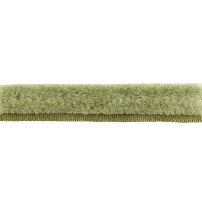 Samples and Purchasing available for Bf Bf:: -  Mineral By Brunschwig & Fils |  |  Trim Cord at Designer Wallcoverings and Fabrics