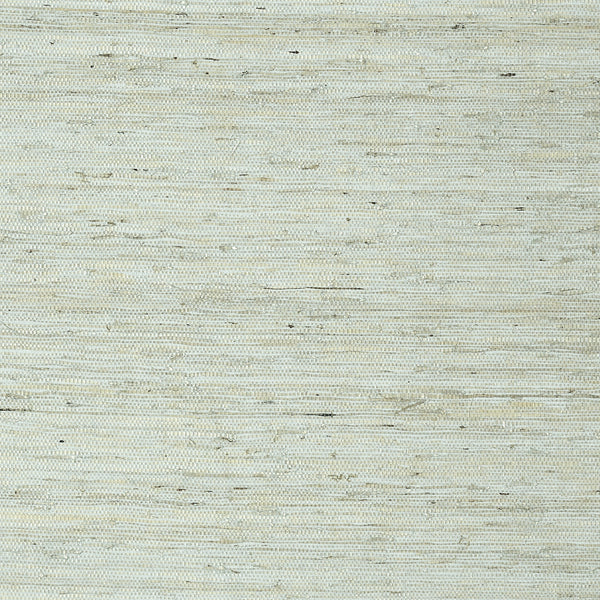 Maranta Arrowroot, Aqua Wallcoverings | Thibaut