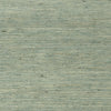 Maranta Arrowroot, Teal