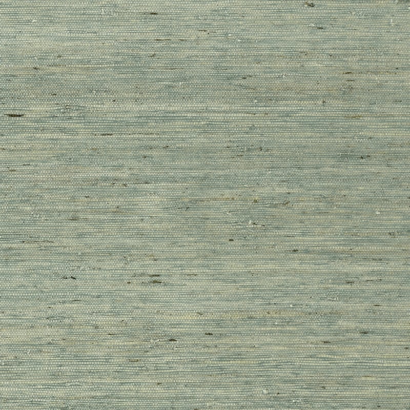 Maranta Arrowroot, Teal
