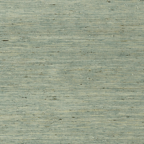 Maranta Arrowroot, Teal Wallcoverings | Thibaut